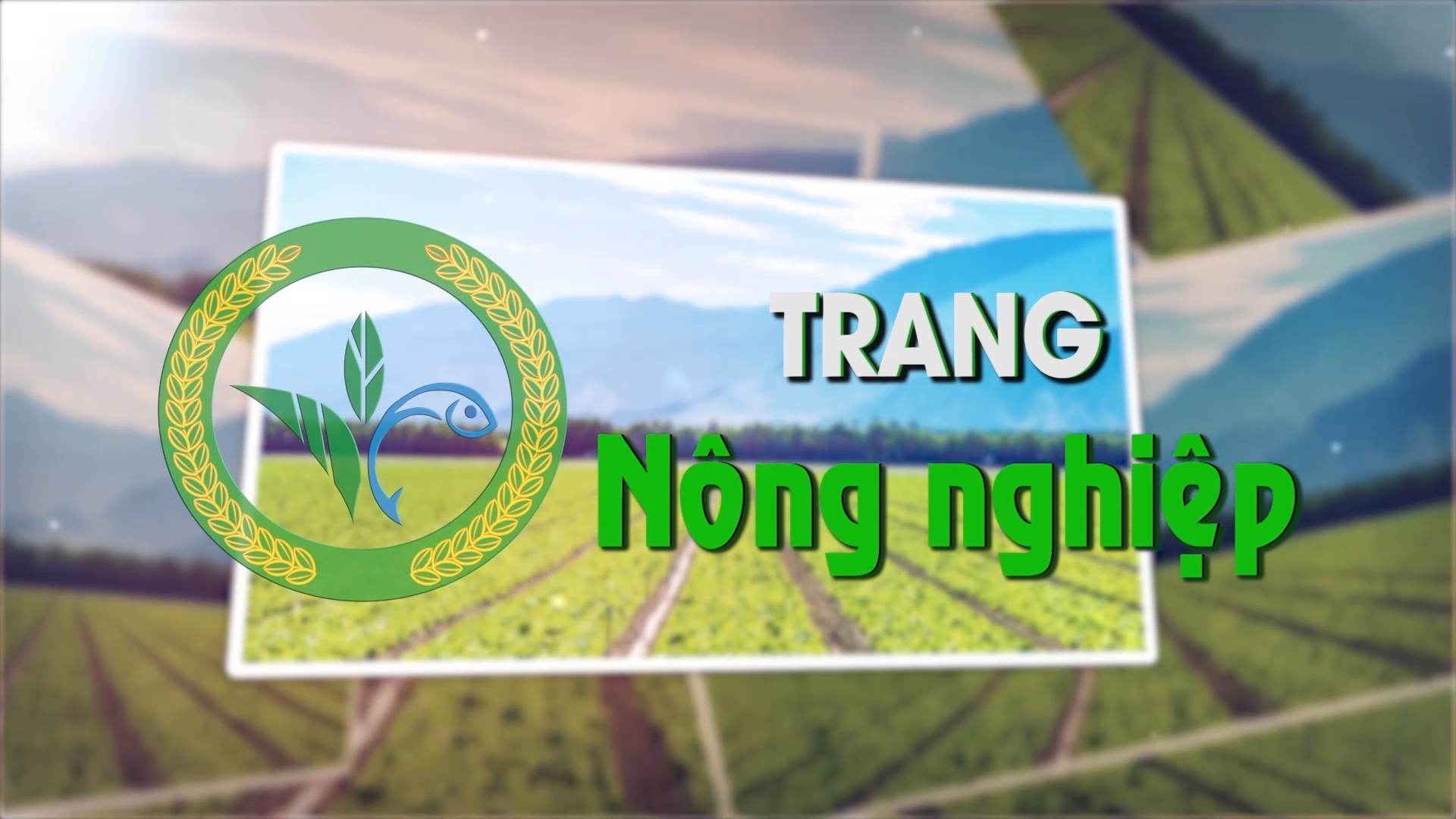 Trang nông nghiệp (29-4-2025)